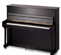 珠江鋼琴118M+(教學專用琴)