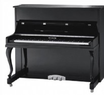 威士頓118教學琴