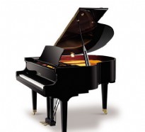 威廉·亨德爾152型鋼琴