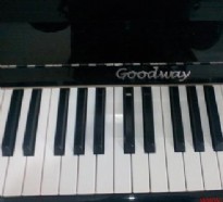 2016年中國鋼琴市場十大品牌